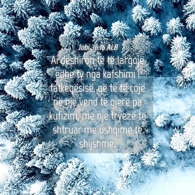 Picture 04 - Jobi 36:16 ALB - Ai dëshiron të të largojë edhe ty nga - Bible Verse Picture