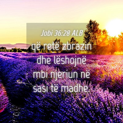 Picture 04 - Jobi 36:28 ALB - që retë zbrazin dhe lëshojnë mbi njeriun në - Bible Verse Picture