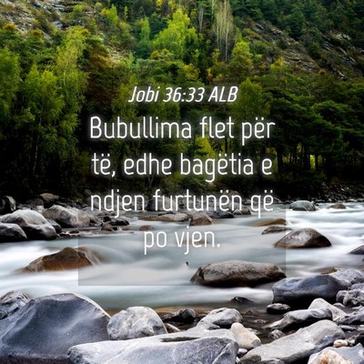 Picture 04 - Jobi 36:33 ALB - Bubullima flet për të, edhe bagëtia e ndjen - Bible Verse Picture