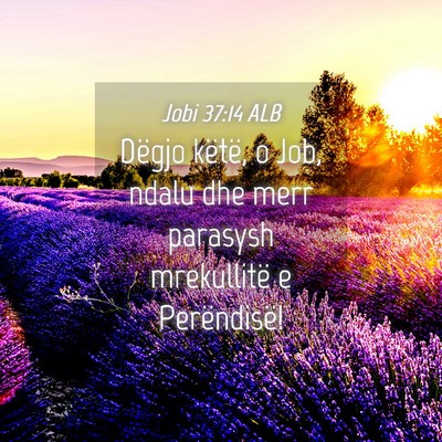 Picture 04 - Jobi 37:14 ALB - Dëgjo këtë, o Job, ndalu dhe merr parasysh - Bible Verse Picture