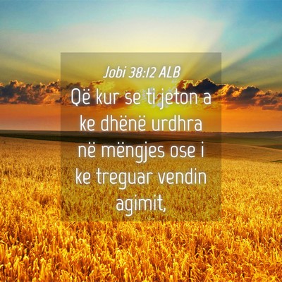 Picture 04 - Jobi 38:12 ALB - Që kur se ti jeton a ke dhënë urdhra në - Bible Verse Picture