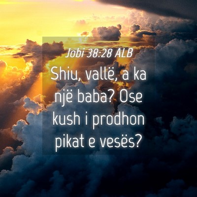 Picture 04 - Jobi 38:28 ALB - Shiu, vallë, a ka një baba? Ose kush i prodhon - Bible Verse Picture