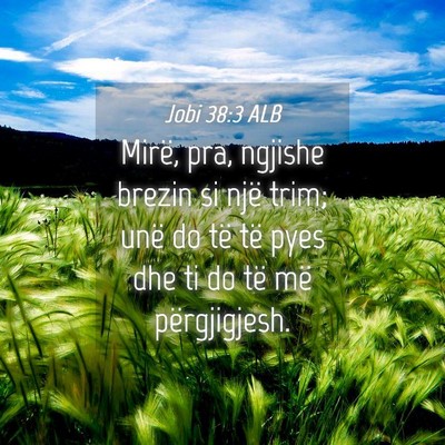 Picture 04 - Jobi 38:3 ALB - Mirë, pra, ngjishe brezin si një trim; unë do - Bible Verse Picture