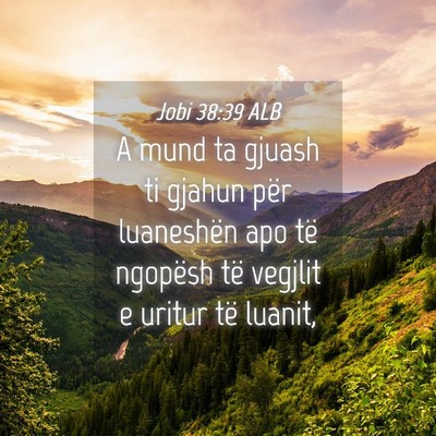 Picture 04 - Jobi 38:39 ALB - A mund ta gjuash ti gjahun për luaneshën apo - Bible Verse Picture