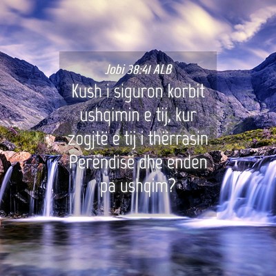 Picture 04 - Jobi 38:41 ALB - Kush i siguron korbit ushqimin e tij, kur zogjtë - Bible Verse Picture