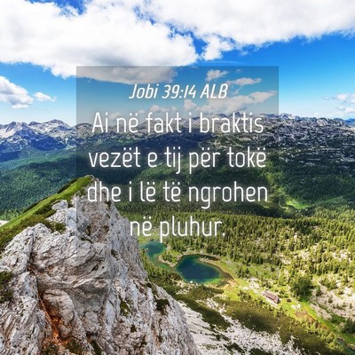 Picture 04 - Jobi 39:14 ALB - Ai në fakt i braktis vezët e tij për tokë dhe - Bible Verse Picture