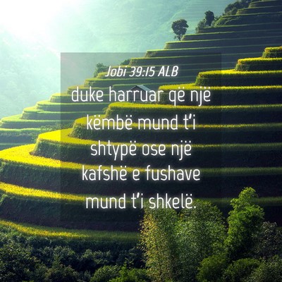 Picture 04 - Jobi 39:15 ALB - duke harruar që një këmbë mund t’i shtypë - Bible Verse Picture