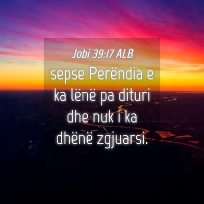 Picture 04 - Jobi 39:17 ALB - sepse Perëndia e ka lënë pa dituri dhe nuk i - Bible Verse Picture