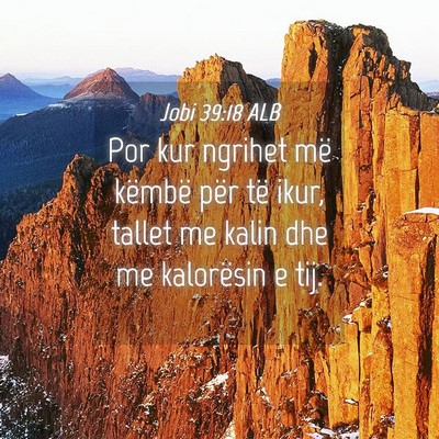 Picture 04 - Jobi 39:18 ALB - Por kur ngrihet më këmbë për të ikur, tallet - Bible Verse Picture