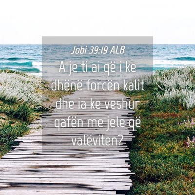 Picture 04 - Jobi 39:19 ALB - A je ti ai që i ke dhënë forcën kalit dhe ia - Bible Verse Picture