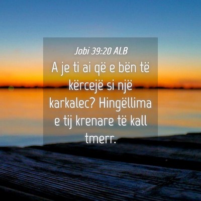 Picture 04 - Jobi 39:20 ALB - A je ti ai që e bën të kërcejë si një - Bible Verse Picture