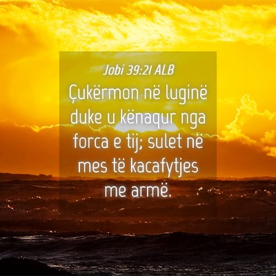 Picture 04 - Jobi 39:21 ALB - Çukërmon në luginë duke u kënaqur nga forca - Bible Verse Picture