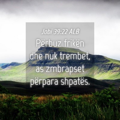Picture 04 - Jobi 39:22 ALB - Përbuz frikën dhe nuk trembet, as zmbrapset - Bible Verse Picture