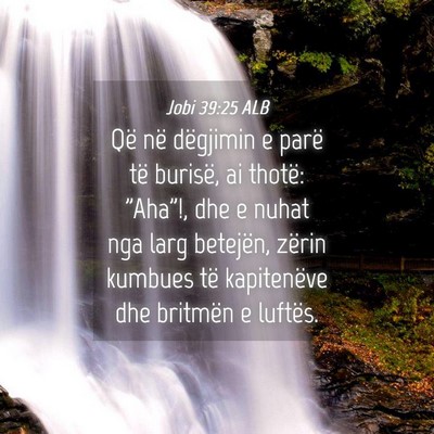 Picture 04 - Jobi 39:25 ALB - Që në dëgjimin e parë të burisë, ai thotë: - Bible Verse Picture