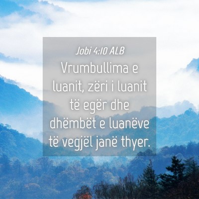 Picture 04 - Jobi 4:10 ALB - Vrumbullima e luanit, zëri i luanit të egër - Bible Verse Picture