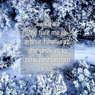 Picture 04 - Jobi 4:12 ALB - Një fjalë më ka ardhur fshehurazi dhe veshi im - Bible Verse Picture