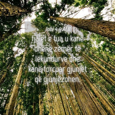 Picture 04 - Jobi 4:4 ALB - fjalët e tua u kanë dhënë zemër të - Bible Verse Picture
