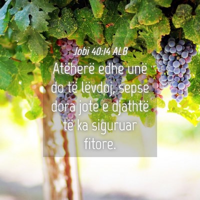 Picture 04 - Jobi 40:14 ALB - Atëherë edhe unë do të lëvdoj, sepse dora - Bible Verse Picture