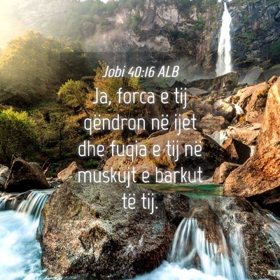 Picture 04 - Jobi 40:16 ALB - Ja, forca e tij qëndron në ijet dhe fuqia e tij - Bible Verse Picture