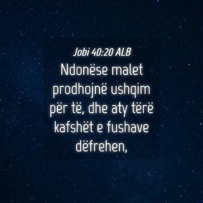 Picture 04 - Jobi 40:20 ALB - Ndonëse malet prodhojnë ushqim për të, dhe - Bible Verse Picture