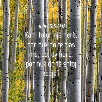 Picture 04 - Jobi 40:5 ALB - Kam folur një herë, por nuk do të flas më; - Bible Verse Picture