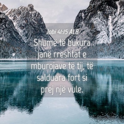 Picture 04 - Jobi 41:15 ALB - Shumë të bukura janë rreshtat e mburojave të - Bible Verse Picture