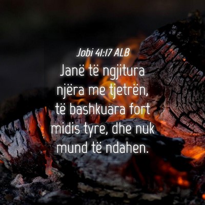 Picture 04 - Jobi 41:17 ALB - Janë të ngjitura njëra me tjetrën, të - Bible Verse Picture