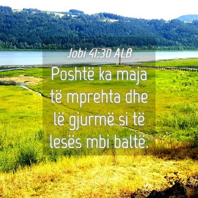 Picture 04 - Jobi 41:30 ALB - Poshtë ka maja të mprehta dhe lë gjurmë si - Bible Verse Picture