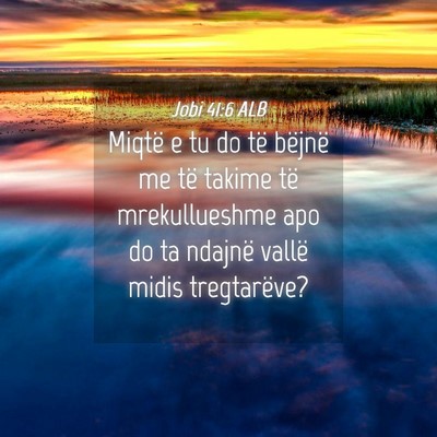 Picture 04 - Jobi 41:6 ALB - Miqtë e tu do të bëjnë me të takime të - Bible Verse Picture
