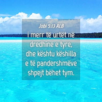 Picture 04 - Jobi 5:13 ALB - i merr të urtët në dredhinë e tyre, dhe - Bible Verse Picture