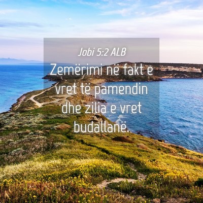 Picture 04 - Jobi 5:2 ALB - Zemërimi në fakt e vret të pamendin dhe zilia - Bible Verse Picture