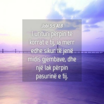 Picture 04 - Jobi 5:5 ALB - I urituri përpin të korrat e tij, ia merr edhe - Bible Verse Picture