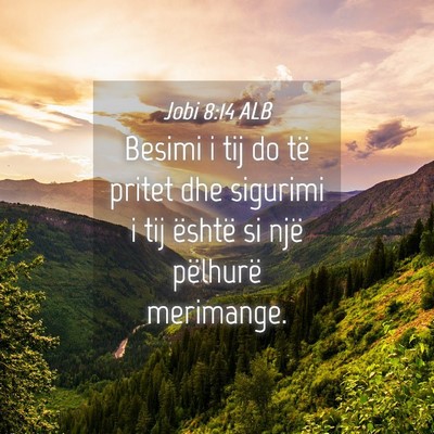 Picture 04 - Jobi 8:14 ALB - Besimi i tij do të pritet dhe sigurimi i tij - Bible Verse Picture
