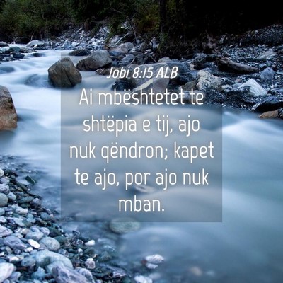 Picture 04 - Jobi 8:15 ALB - Ai mbështetet te shtëpia e tij, ajo nuk - Bible Verse Picture