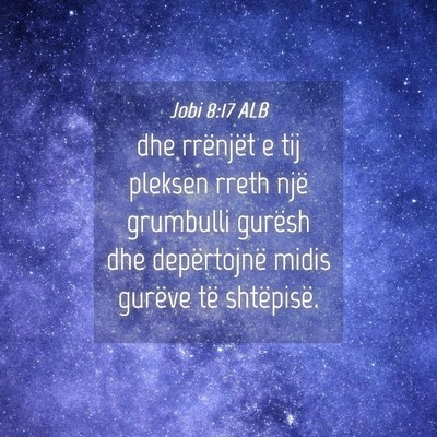 Picture 04 - Jobi 8:17 ALB - dhe rrënjët e tij pleksen rreth një grumbulli - Bible Verse Picture