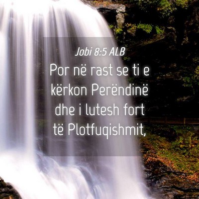 Picture 04 - Jobi 8:5 ALB - Por në rast se ti e kërkon Perëndinë dhe i - Bible Verse Picture