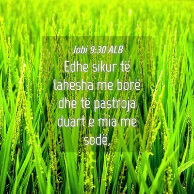 Picture 04 - Jobi 9:30 ALB - Edhe sikur të lahesha me borë dhe të pastroja - Bible Verse Picture