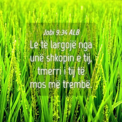 Picture 04 - Jobi 9:34 ALB - Le të largojë nga unë shkopin e tij, tmerri i - Bible Verse Picture
