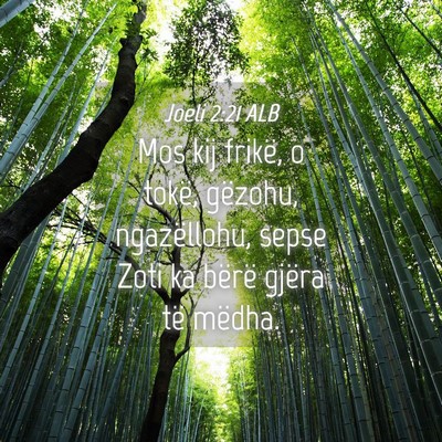 Picture 04 - Joeli 2:21 ALB - Mos kij frikë, o tokë, gëzohu, ngazëllohu, - Bible Verse Picture