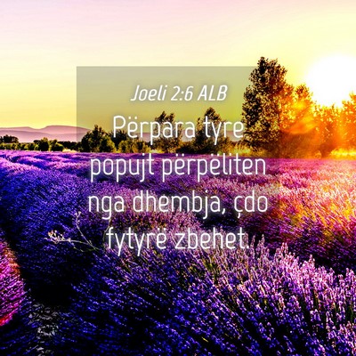 Picture 04 - Joeli 2:6 ALB - Përpara tyre popujt përpëliten nga dhembja, - Bible Verse Picture