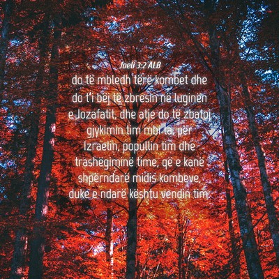 Picture 04 - Joeli 3:2 ALB - do të mbledh tërë kombet dhe do t’i bëj të - Bible Verse Picture