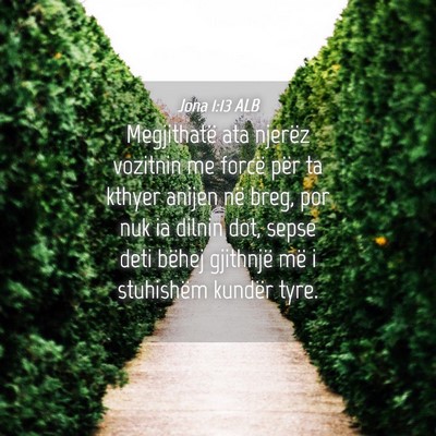 Picture 04 - Jona 1:13 ALB - Megjithatë ata njerëz vozitnin me forcë për - Bible Verse Picture