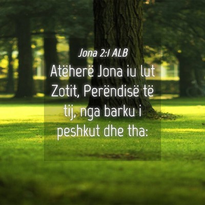 Picture 04 - Jona 2:1 ALB - Atëherë Jona iu lut Zotit, Perëndisë të tij, - Bible Verse Picture