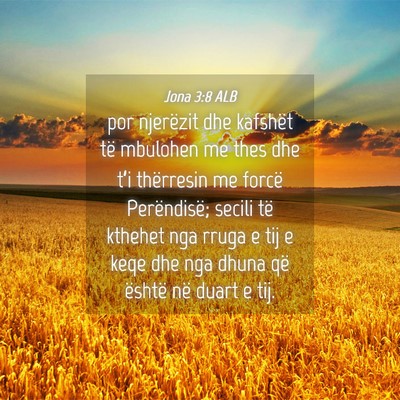 Picture 04 - Jona 3:8 ALB - por njerëzit dhe kafshët të mbulohen me thes - Bible Verse Picture