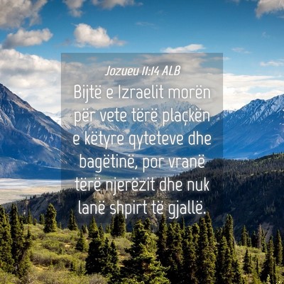 Picture 04 - Jozueu 11:14 ALB - Bijtë e Izraelit morën për vete tërë - Bible Verse Picture