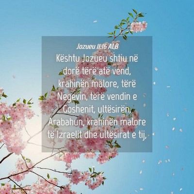 Picture 04 - Jozueu 11:16 ALB - Kështu Jozueu shtiu në dorë tërë atë vend, - Bible Verse Picture