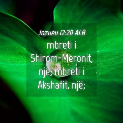Picture 04 - Jozueu 12:20 ALB - mbreti i Shirom-Meronit, një; mbreti i Akshafit, - Bible Verse Picture