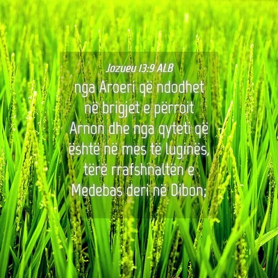 Picture 04 - Jozueu 13:9 ALB - nga Aroeri që ndodhet në brigjet e përroit - Bible Verse Picture