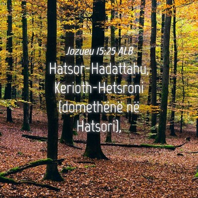 Picture 04 - Jozueu 15:25 ALB - Hatsor-Hadattahu, Kerioth-Hetsroni (domethënë - Bible Verse Picture