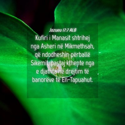 Picture 04 - Jozueu 17:7 ALB - Kufiri i Manasit shtrihej nga Asheri në - Bible Verse Picture